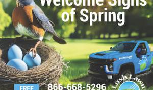 Honey Septic Tank Cleaning Pumping