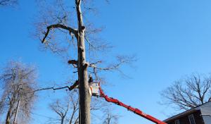 Jireh Property Maintenance