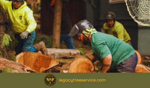 Legacy Tree Service