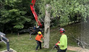 Blaha's Landscaping & Tree Service