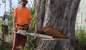 Andrus Excavating & Septic Sys