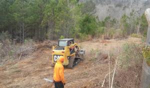 Cornerstone Tree Service