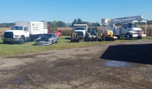 All Year Tree Services