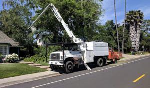 Saunders Tree Service