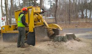 Atherton Tree Services