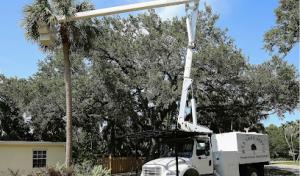 M.V.P Tree Service