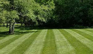 A-1 Septic Cleaning Service
