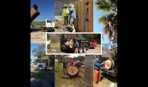Yosef Tree Service & Landscape (Junk Removal)