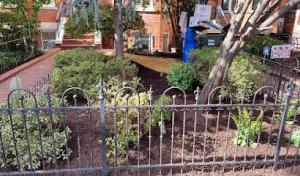 Replenishing Habitat's