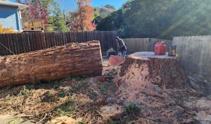 Contra Costa Tree & Stump Removal