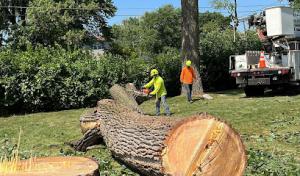 Cote's Septic Tank Services