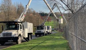 Sidelines Tree Service